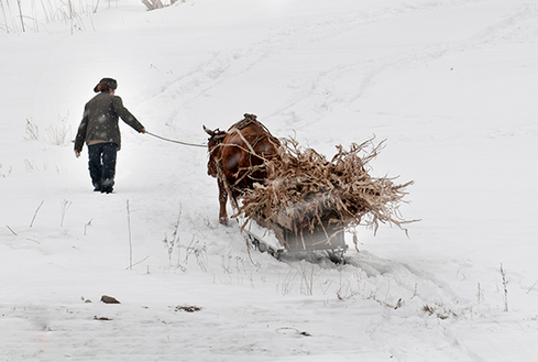 东北农村人的生活,艰苦而温馨a