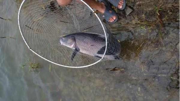 駐紮水庫釣魚30天釣大魚,發電機組都搬過來了!